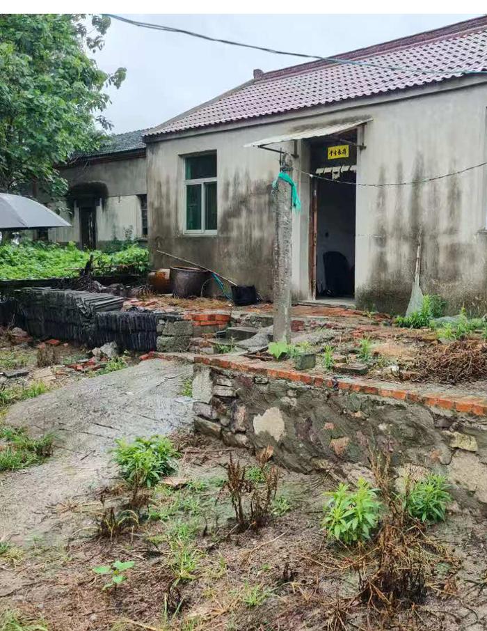 图A1 王宝根无障碍改造前门前路面.jpg